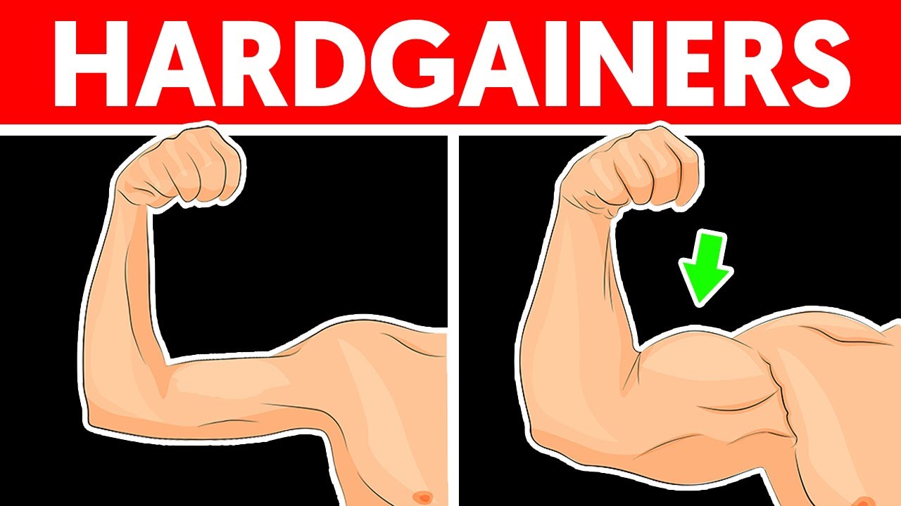 8 Must-Do Exercises for Skinny Guys to Gain Muscle