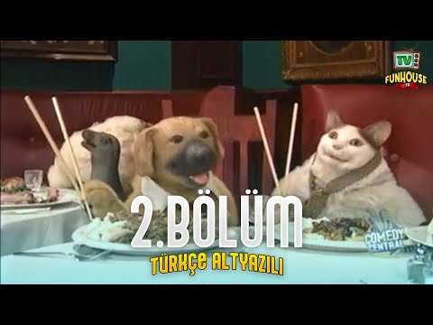 TV Funhouse Episode 2 | Hawaiian Day (Turkish subtitles)