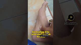 Download lagu Suka kencing karna efek Anyang ayangen begini solusinya #tips #sehat #terapi #herbal #edukasi mp3
