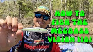 Megabass vision oneten 110 ht hakone wakasagi