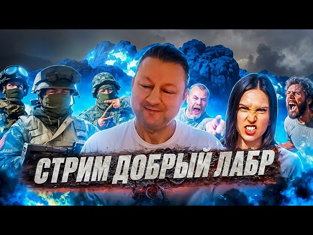 Добрый Лабр 2