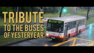 A Tribute to The Old Singapore Buses of Yesteryear - 10th Anniversary Special