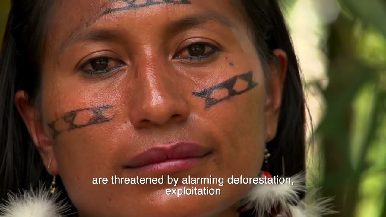Amazonia for Life Fund - COAICA