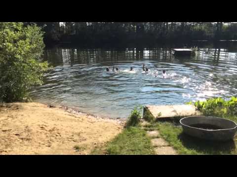 Cool Water Challenge 2014 1. TT Mannschaft  SV Concordia Emsbüren