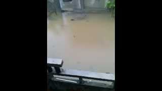 Download lagu Anjar Rain mp3 Download lagu Anjar Rain mp3