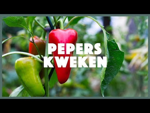 , title : 'Pepers kweken'