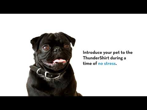 How Does a ThunderShirt Work?