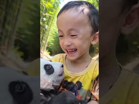 Little Girl Plays with a Cute Panda! 🐼❤️#shorts #panda #cute