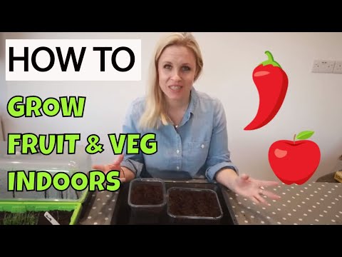 How to grow vegetables indoors without any equipment - getting started