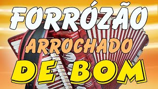 Forrózão arrochado de bom, piseiro PE, nerão, MA, xote, CE, arrasta pé, hits song RS BA SP RJ MG