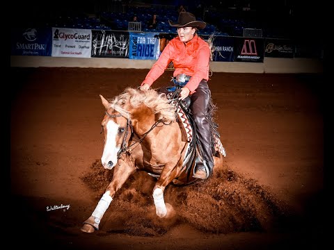 Spinferno shown by Amy Stoney   2020 NRBC Toyon Ranch Emerging Horse Futurity