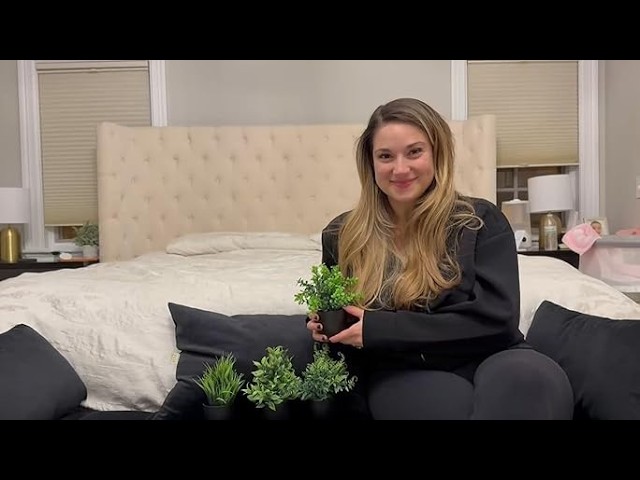 Vídeo relacionado con Der Rose Juego de 2 plantas suculentas artificiales para oficina, escritorio, baño, hogar, habitación, decoración estética para interiores