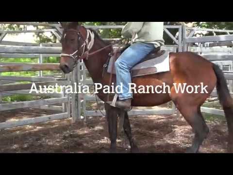 Australia Paid Ranch Work Video