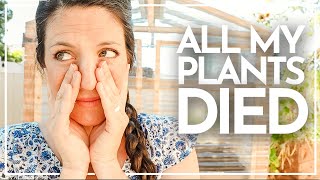 ALL MY PLANTS DIED (this is how I cope) VLOG