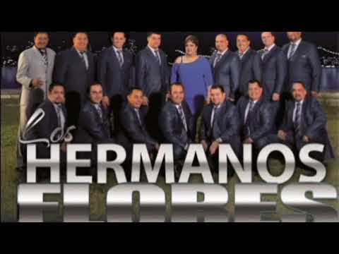 Mix de Los Hermanos Flores - Grandes exitos Músicales 🥳