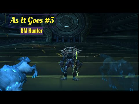 8.3 BM Hunter PvP - Thrill Of The Hunt