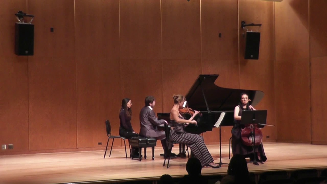 Promotional video thumbnail 3 for Cecelia Sha Cello