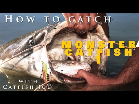 How to catch monster African catfish with catfish Joe.