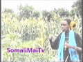 SHALLAAY TARASH IYO NUURTO