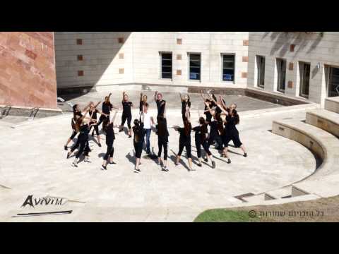 Avi Levy - Ima Im Hayiti Yachol (T+D)