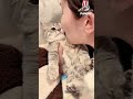 My Cat Gets Annoyed If I Kiss Her Too Much Because She Doesn T Like Kisses Cat Funnycats Pets