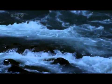 Quran Surah Al-Mulk Sabahudin  Zeqiri 2011