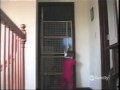 America S Funniest Home Videos Bob Saget Child Escape