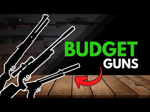 Budget Airgun Roundup | Setups under $350!