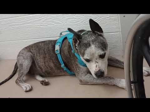 Rocky-PACC Alumni@TRN goofing round with me 349