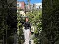 A Secret Garden Transformation You’ll Love