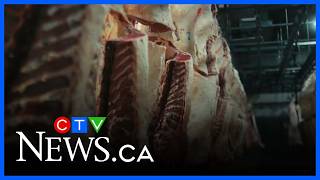 $8M settlement proposed in national beef price-fixing lawsuit