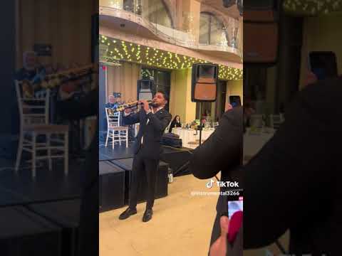 David Mocanu - Instrumental 2025