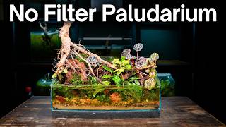 Miniatura filmu z YouTube