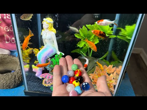 Elimination Gauntlet: Only One Marble Will Survive!