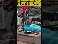 Most brutal medieval torture devices part 2