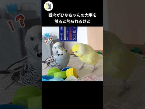IUCN分類における絶滅の危険性を示す図。