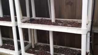 AQUAPONICS UPDATE#2 Overhaul for new growing season and first look after winter