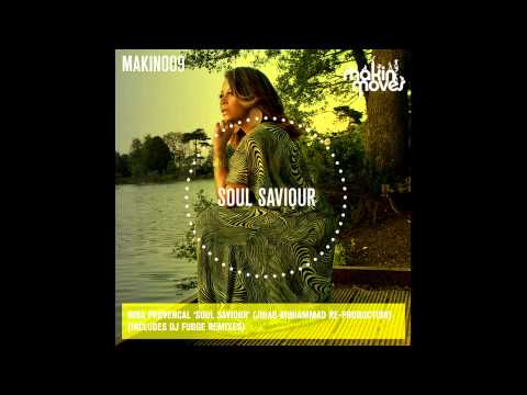 Nina Provencal - Soul Saviour (DJ Fudge Remix)