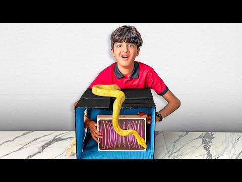 Suprising Mohib with IPAD (Snake Edition)