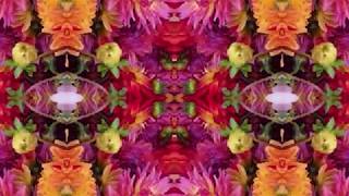 Yas Yas Yas (by Dave Van Ronk live at Indiana University '64)