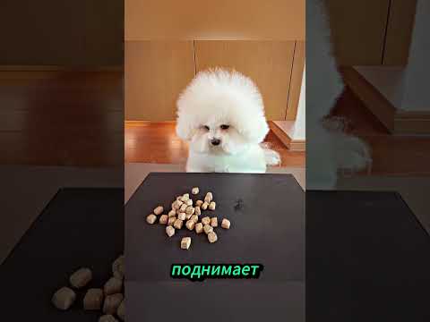 Когда выбрал не тот стакан 😅 #футбол #юмор #кино #футболист #психофакт #семья #хочуфакты