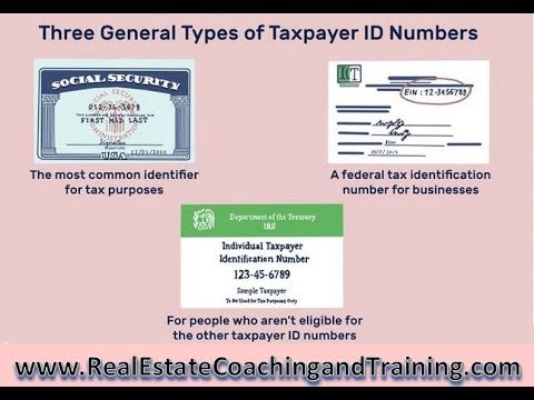 Learn How To Apply For An EIN Number For Free -...