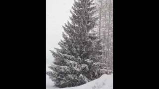 preview picture of video 'es ist Winter in Ramsau am Dachstein'