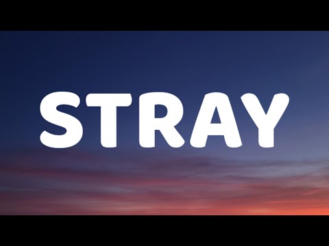 JXDN - STRAY (Lyrics)
