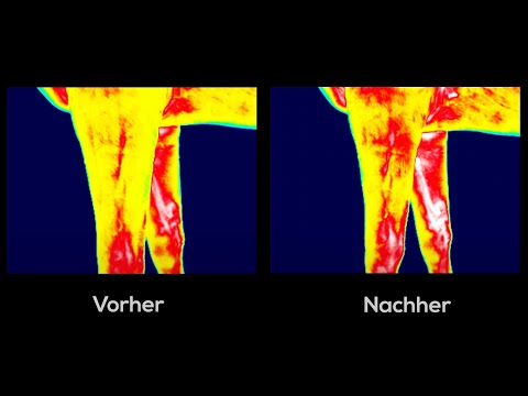 Frequency Horseware - Pferdethermografie