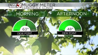 Dewpoints lower into the afternoon for the WSIL region - April 17, 2024