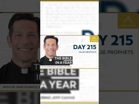 Day 215 BIY In Action