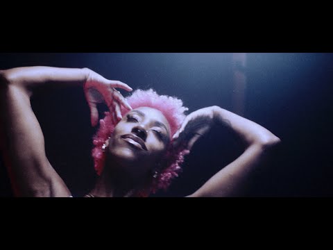 ZeeZout: We Are Not Back. We Never Left.