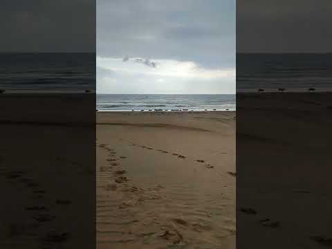 mambrui village coastal area nice view early morning