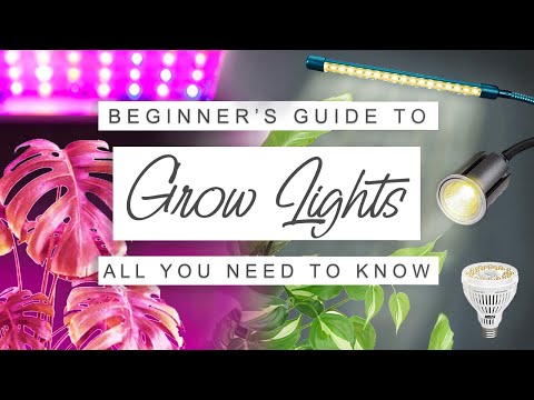 image-Are two grow lights better than one?